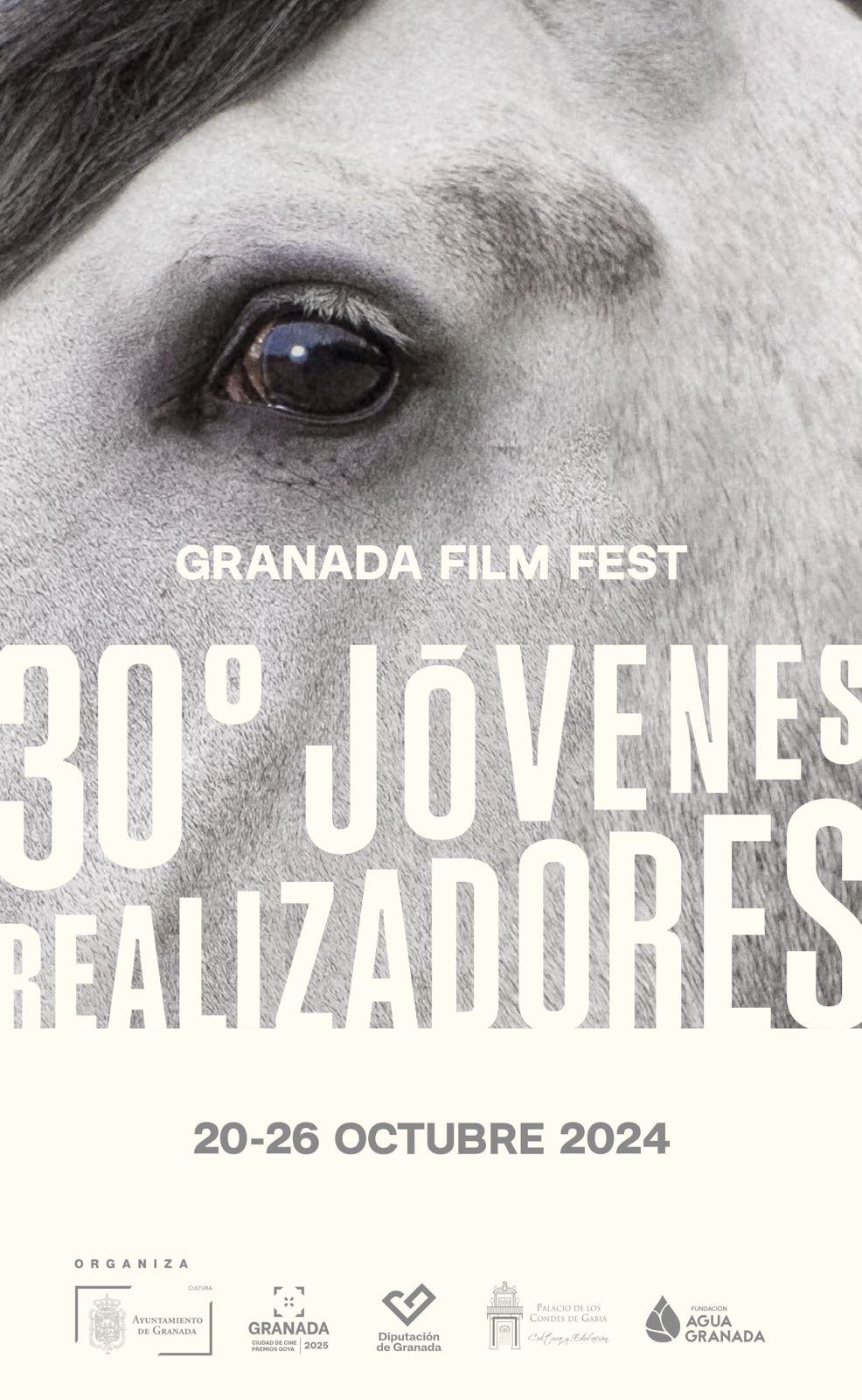 Cartelera 30º Jóvenes Realizadores